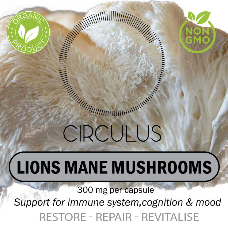 Lions Mane Mushrooms
