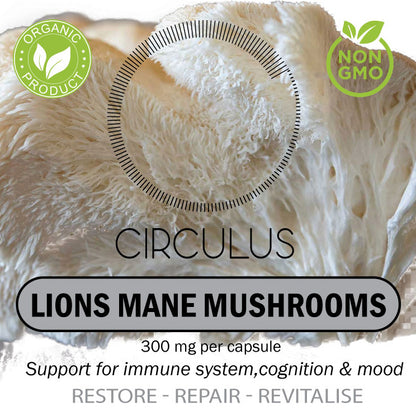 Lions Mane Mushrooms