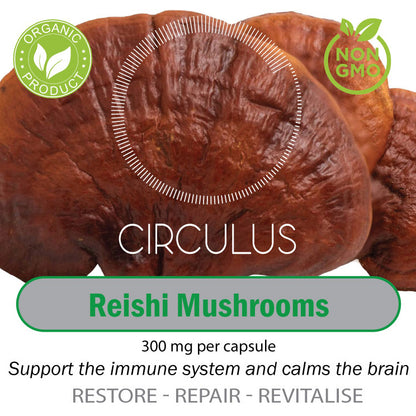 Reishi Mushroom