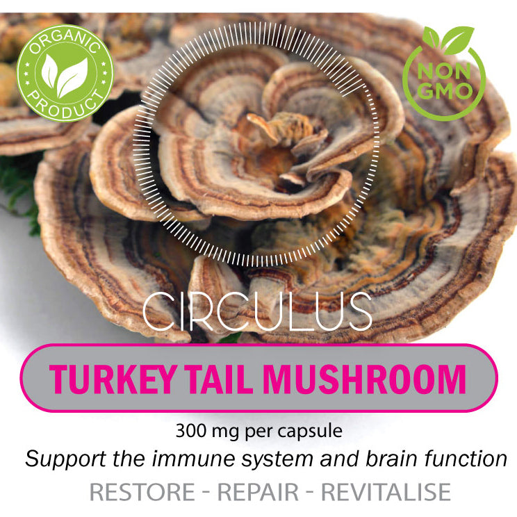 Turkey Tail Mushroom