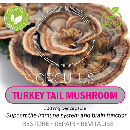 Turkey Tail Mushroom