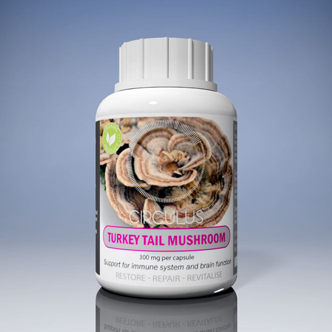 Turkey Tail Mushroom