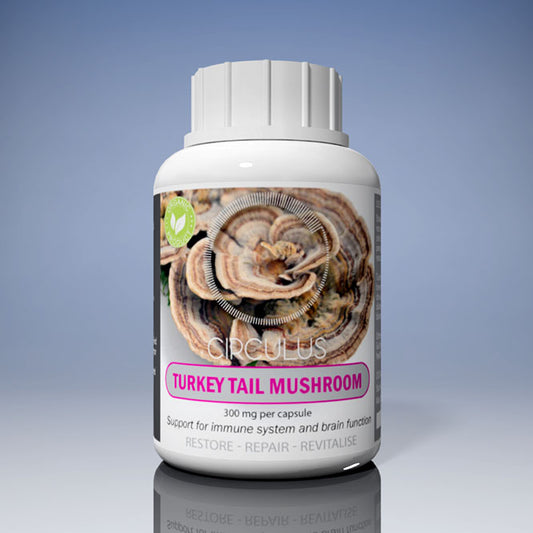 Turkey Tail Mushroom